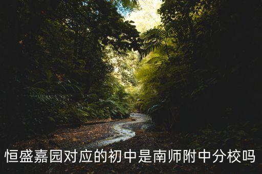 恒盛嘉园对应的初中是南师附中分校吗