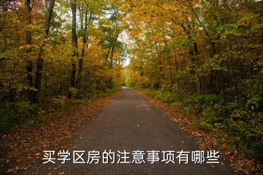 买学区房的注意事项有哪些
