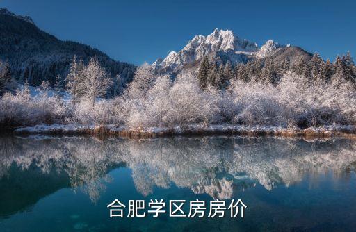 合肥学区房最高什么价格，合肥学区房房价