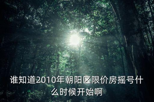 谁知道2010年朝阳区限价房摇号什么时候开始啊