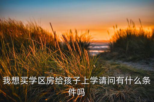 我想买学区房给孩子上学请问有什么条件吗