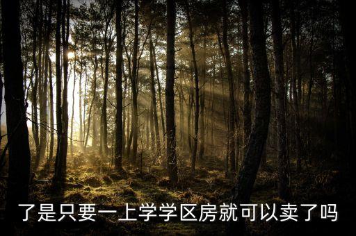 了是只要一上学学区房就可以卖了吗