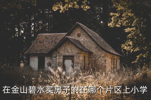 在金山碧水买房子的在哪个片区上小学