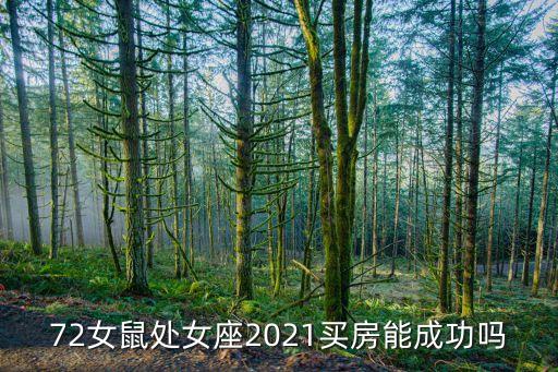 72女鼠处女座2021买房能成功吗