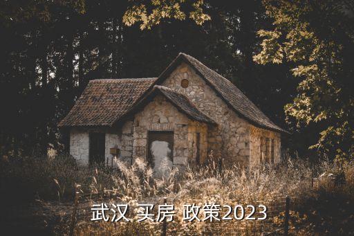  武汉 买房 政策2023