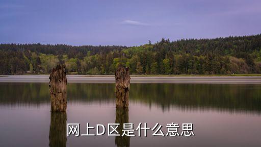 网上D区是什么意思