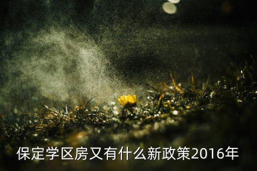 小镇学区房有什么优惠政策，2016年学区房的新政策是怎么样的