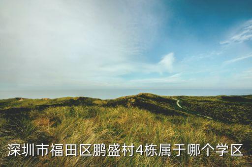 深圳市福田区鹏盛村4栋属于哪个学区