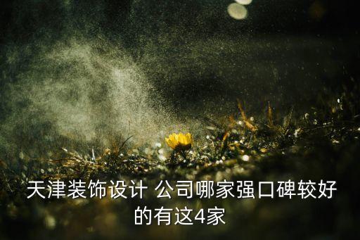  天津装饰设计 公司哪家强口碑较好的有这4家