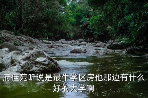 梅溪嘉苑是什么学区房，府佳苑听说是最牛学区房他那边有什么好的大学啊