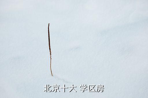 学区房30个平方多少钱