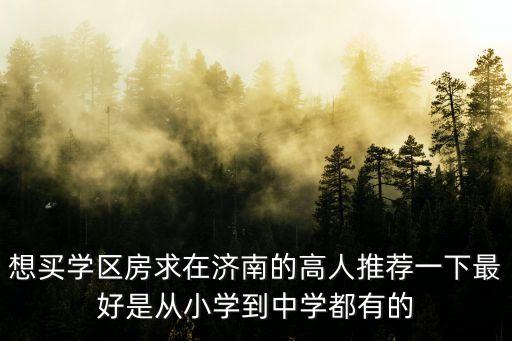 济南传统学区房哪个好一些，一般买济南哪的学区房好