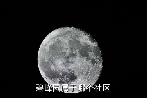 碧峰园属于哪个社区