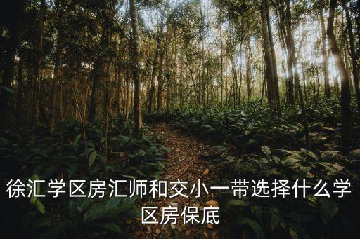 上海徐家汇哪个学区房好，上海徐汇学区房买哪里好