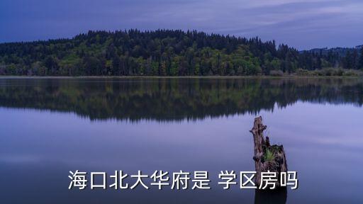  海口北大华府是 学区房吗