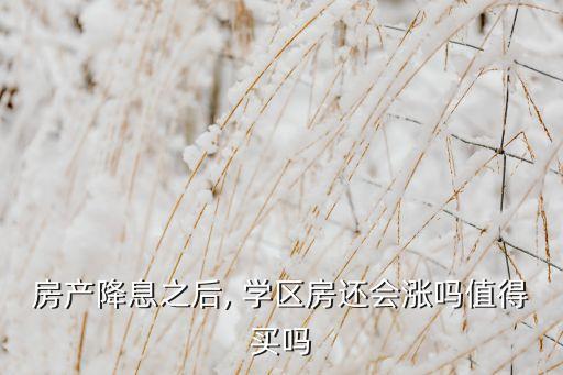学区房和股票哪个好,长春哪个学区房值得买