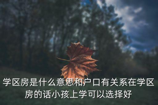 学区房是什么意思和户口有关系在学区房的话小孩上学可以选择好