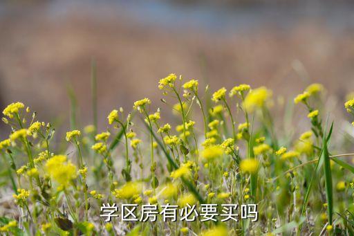  学区房有必要买吗