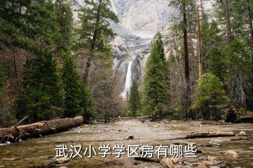 武汉小学学区房有哪些