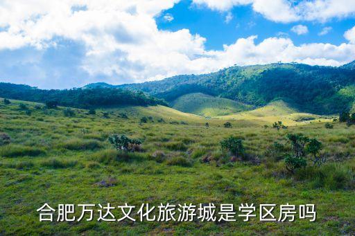 合肥万达文化旅游城是学区房吗