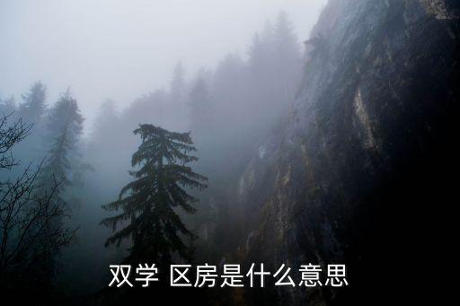 双学 区房是什么意思