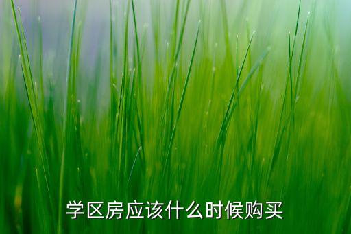 学区房应该什么时候购买