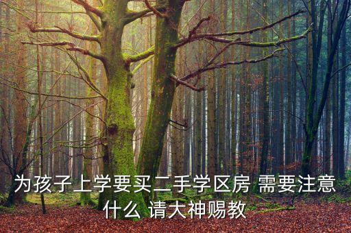 老破小学区房购买关注什么，为孩子上学要买二手学区房 需要注意什么 请大神赐教