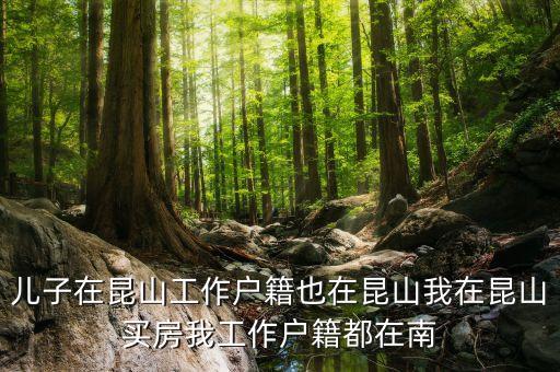 儿子在昆山工作户籍也在昆山我在昆山买房我工作户籍都在南