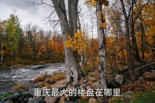重庆最大的楼盘在哪里