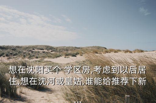 想在沈阳买个 学区房,考虑到以后居住,想在沈河或皇姑,谁能给推荐下新...