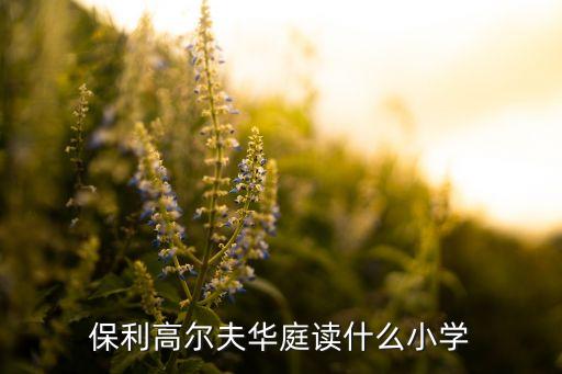 保利高尔夫华庭读什么小学