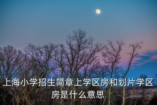 上海小学招生简章上学区房和划片学区房是什么意思