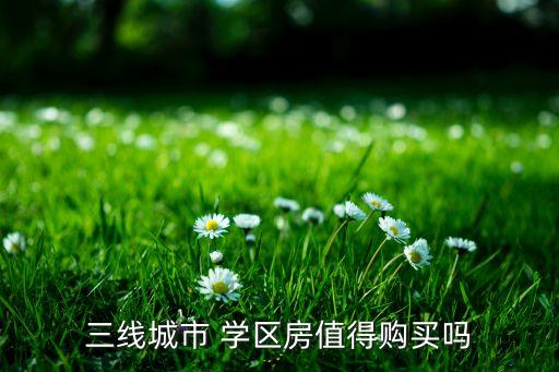 三线城市 学区房值得购买吗