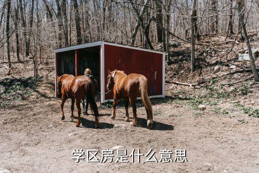 学区房是什么意思