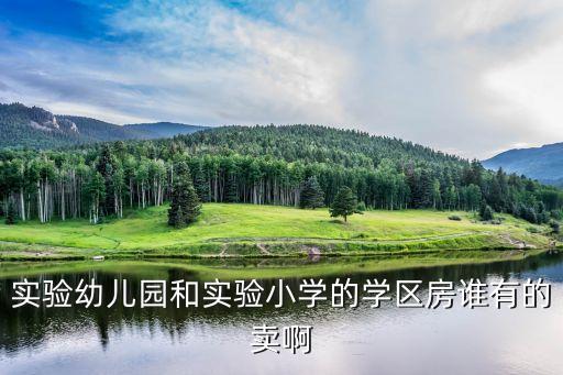 实验幼儿园和实验小学的学区房谁有的卖啊