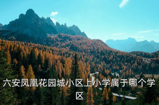 六安凤凰花园城小区上小学属于哪个学区
