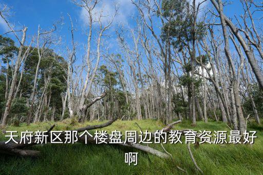 天府新区那个楼盘周边的教育资源最好啊