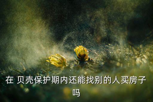在 贝壳保护期内还能找别的人买房子吗