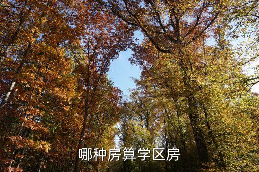哪种房算学区房