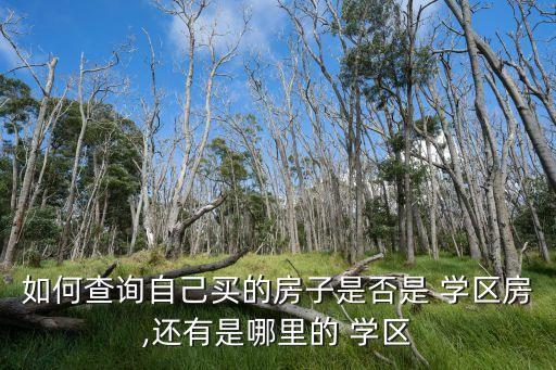 如何查询自己买的房子是否是 学区房,还有是哪里的 学区