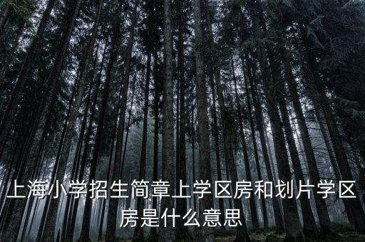 上海小学招生简章上学区房和划片学区房是什么意思