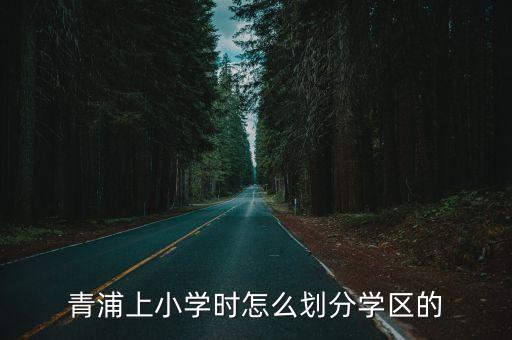 青浦上小学时怎么划分学区的