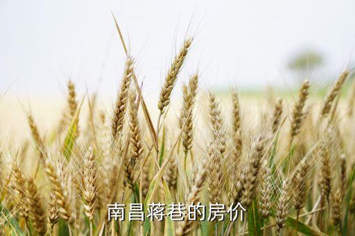 南昌蒋巷的房价