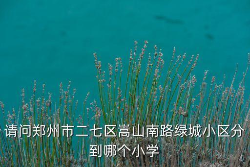 请问郑州市二七区嵩山南路绿城小区分到哪个小学