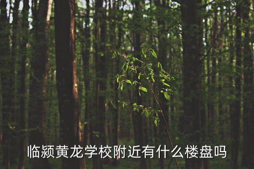 临颍黄龙学校附近有什么楼盘吗