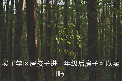 学区房什么时候能下来卖，延吉市对学区房再卖有什么规定这个月末孩子就报完名上北山小学我想