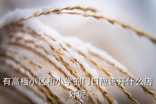 有高档小区和小学的门口应该开什么店好呢