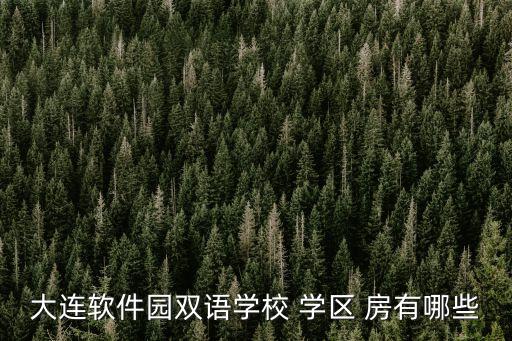 大连软件园双语学校 学区 房有哪些