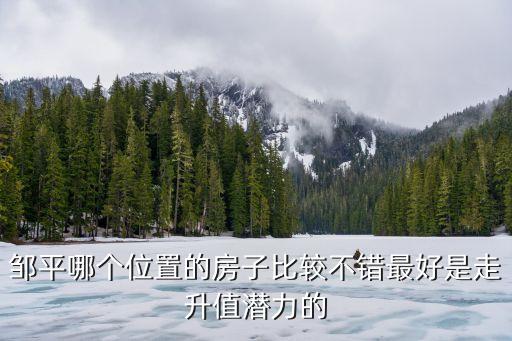 邹平哪个位置的房子比较不错最好是走升值潜力的