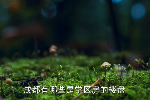 成都有哪些是学区房的楼盘